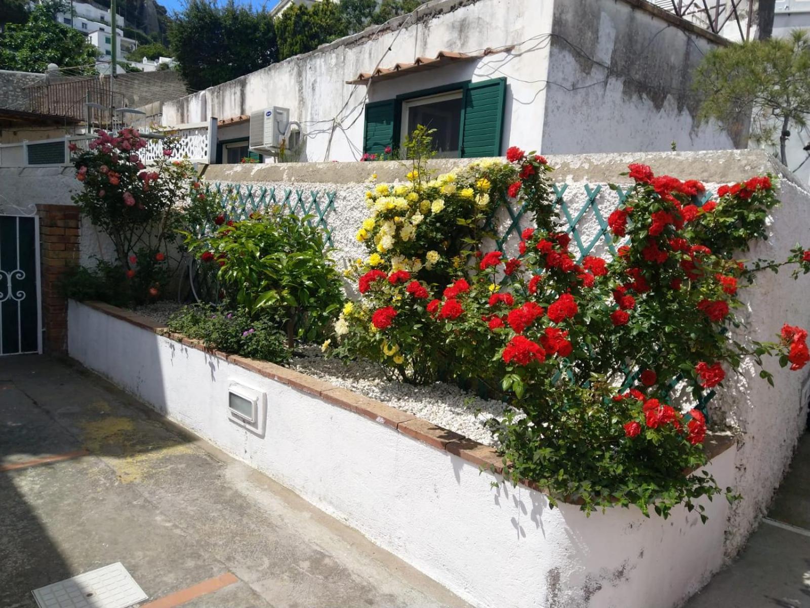 La Marocella Villa กาปรี ภายนอก รูปภาพ