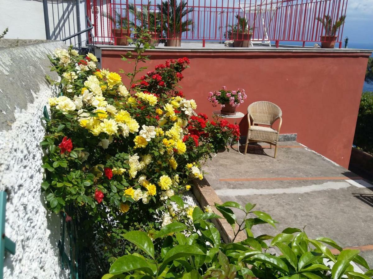 La Marocella Villa กาปรี ภายนอก รูปภาพ