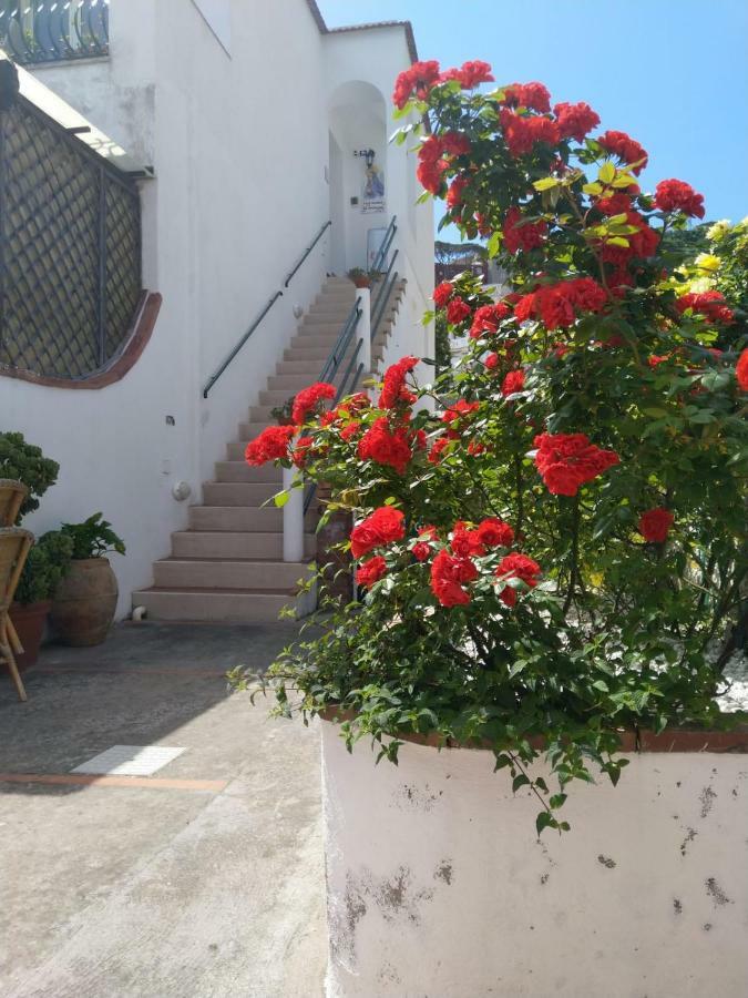 La Marocella Villa กาปรี ภายนอก รูปภาพ